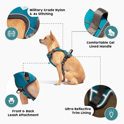 Embark Adventure Dog Harness, Reflective Trim XL Dog Harness for Extra Large Dogs No Pull - Military Grade Nylon, 2 Leash Clips & Gel Lined Handle. Soft & Padded Puppy Dog Harnesses for Any Breed