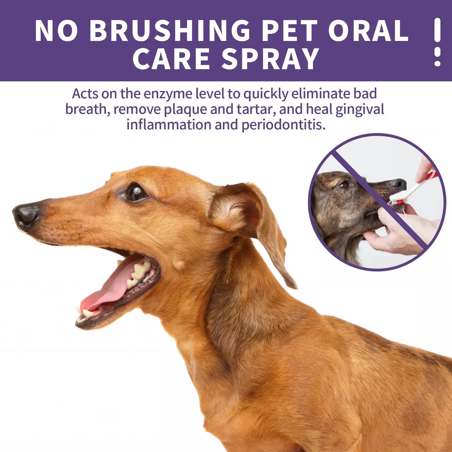 Pet Oral Cleanse Spray